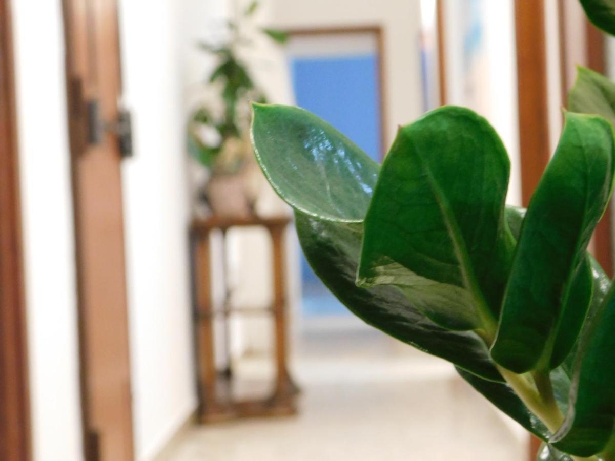 Frankie'S House B&B Catania Kültér fotó